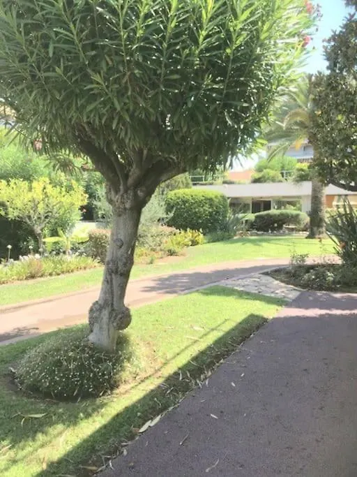 Studette Pointe Croisette - Axelle Loc'Appart Cannes Francja