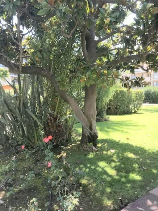 Studette Pointe Croisette - Axelle Loc'Appart Cannes Apartament